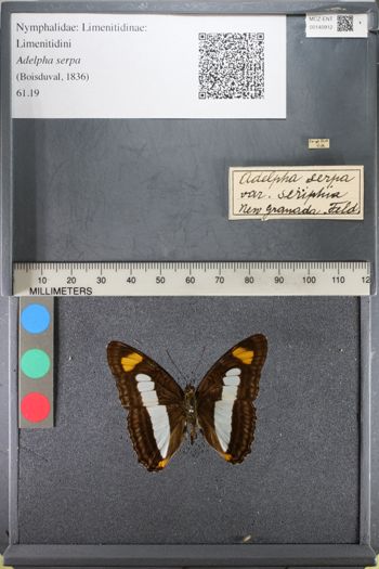 Media type: image;   Entomology 140912